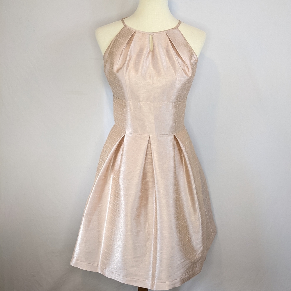 Alfred Sung Style D449 Pearl Pink Size 4